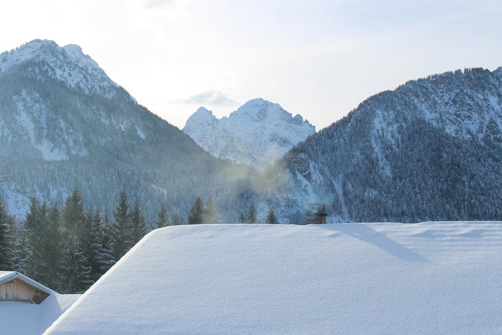 Alpenmotel Saeuling Pinswang Esterno foto